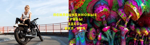 прущие крисы Алзамай