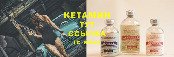 прущие крисы Алзамай