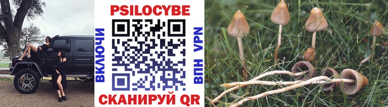 хочу   Островной  Галлюциногенные грибы MAGIC MUSHROOMS 